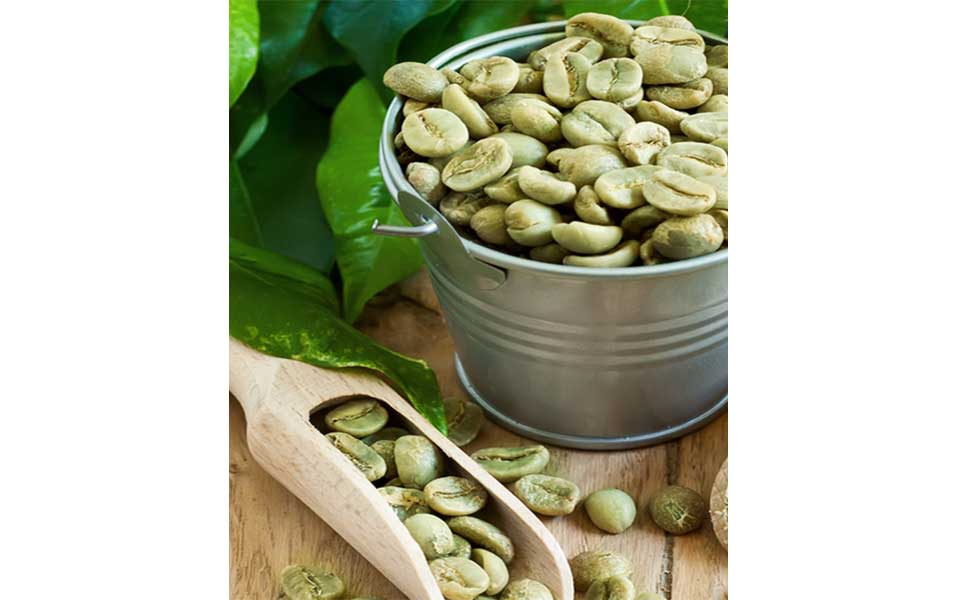 قهوه سبز - قهوه کنیا