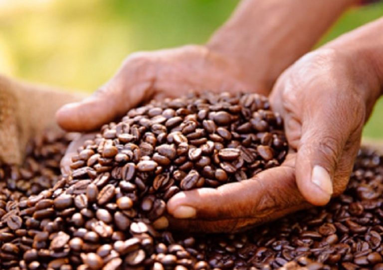 قهوه کاستاریکا