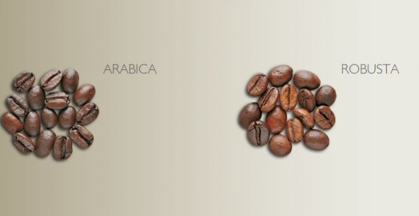 قهوه روبوستا و عربیکا