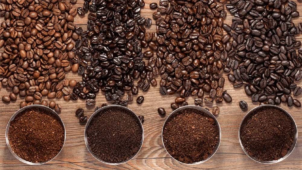 انواع دانه قهوه چیست