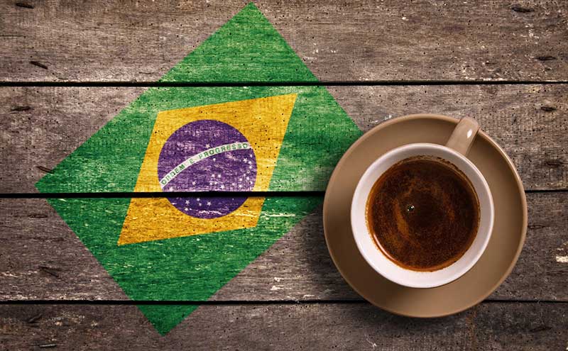 قهوه روبوستا برزیل