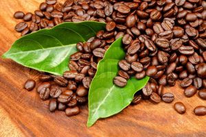 فروش قهوه عربیکا
