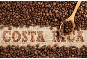 فروش قهوه کاستاریکا