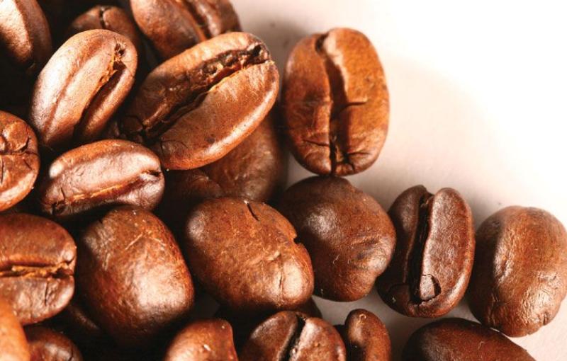 تولید کننده دانه قهوه عربیکا + قهوه سیراف