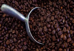 فروش قهوه کنیا