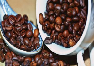 فروش قهوه کنیا