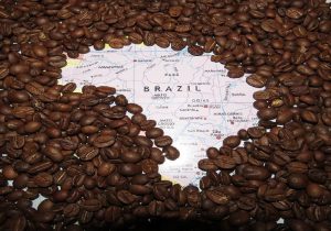 فروش قهوه برزیل