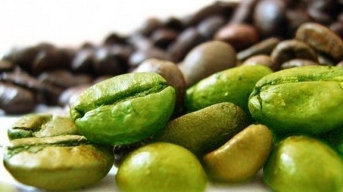 فروشنده‌های قهوه سبز