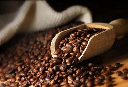 تولید قهوه درجه‌یک