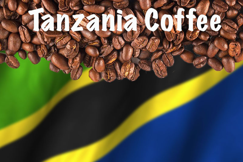 پخش انواع قهوه تانزانیا