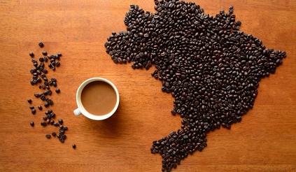 فروش دانه قهوه برزیل