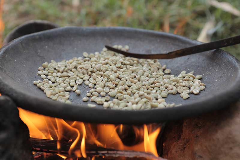 فروش عمده انواع قهوه عربیکا اتیوپی