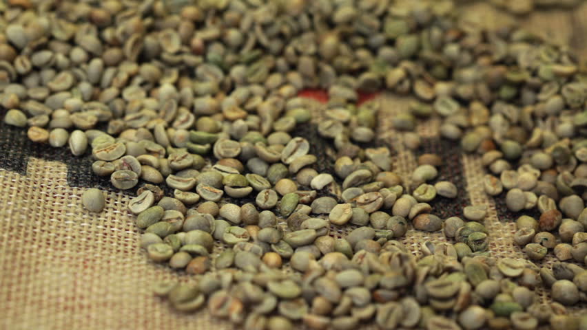 فروش قهوه سبز کنیا