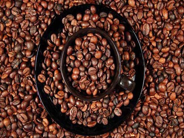 عوامل موثر در قیمت گذاری قهوه چیست؟