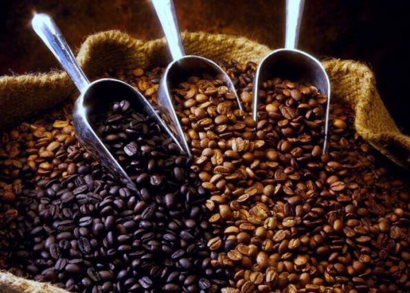 خرید قهوه اوگاندا عربیکا به صورت عمده