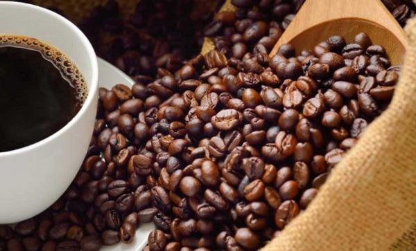 قیمت قهوه چری درجه یک هند