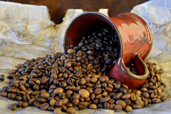 خرید قهوه اندونزی ek با قیمت ارزان