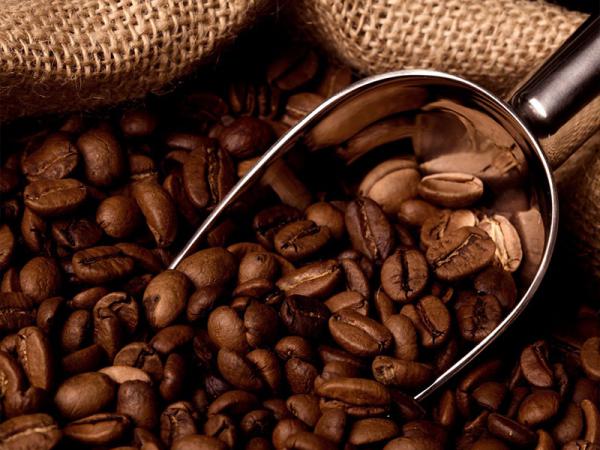 صادرات قهوه اندونزی به قیمت تولید 