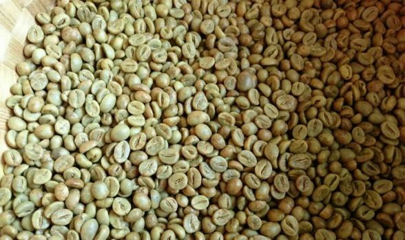 قهوه اندونزی ap1 و راه های سفارش ارزانتر آن