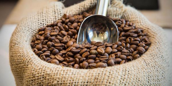 خرید مستقیم قهوه اندونزی در ایران
