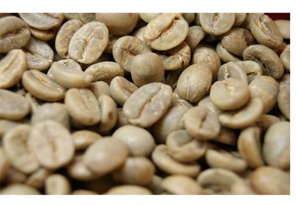 خرید انواع قهوه چری بسته بندی با قیمت ارزان