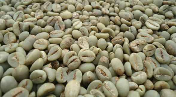 شرکت پخش عمده قهوه اندونزی بسته بندی شده