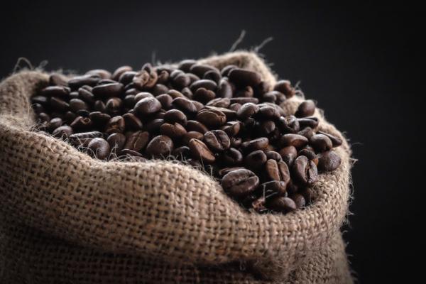 تولید کننده قهوه عربیکا اصل