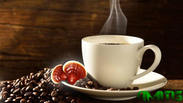 آشنایی با عرضه کننده معتبر قهوه پی بی