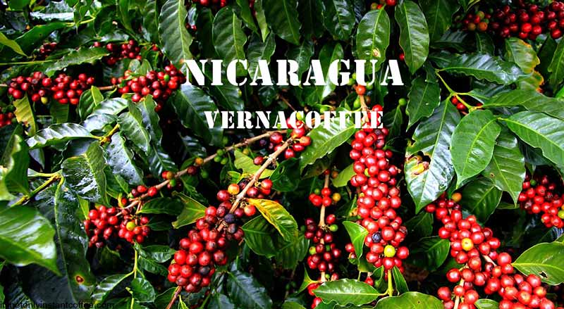 قهوه نیکاراگوئه