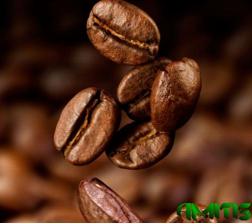 بررسی ویژگی دانه قهوه