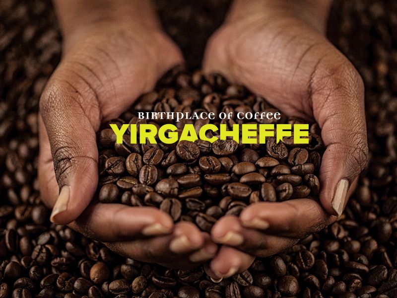 قهوه اتیوپی یرگاچف - قهوه سیراف