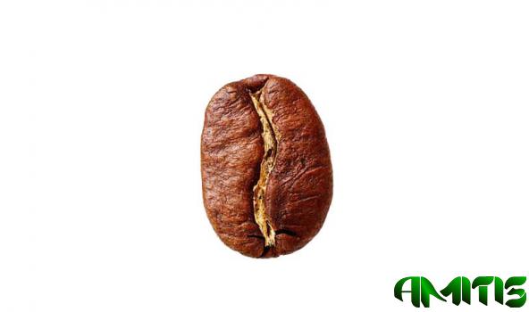 عرضه مستقیم قهوه عربیکا اصل