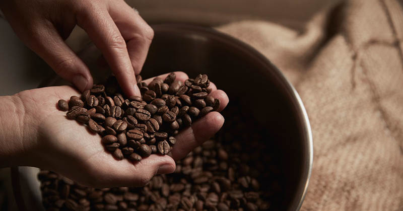 فروش عمده دان قهوه عربیکا و روبوستا - خرید مستقیم دانه قهوه کیلویی