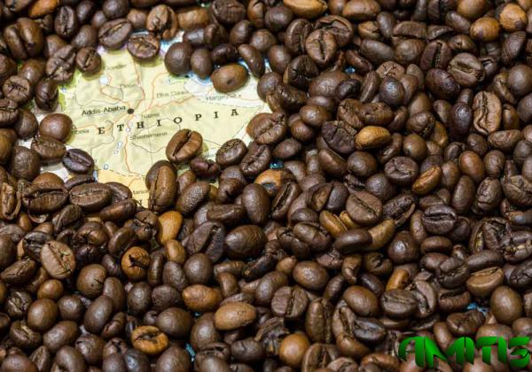 قیمت خرید قهوه اتیوپی اصل