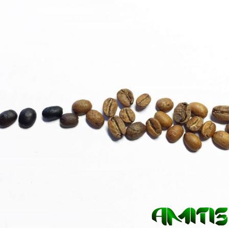 مشخصات انواع قهوه طعم دار صادراتی