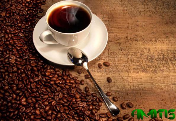 مشخصات انواع قهوه سوماترا