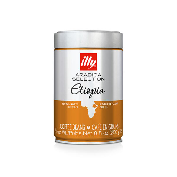 دانه قهوه ایلی مدل اتیوپی