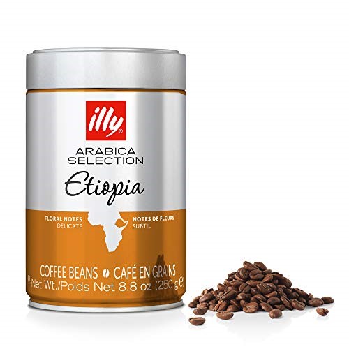 دانه قهوه ایلی مدل اتیوپی