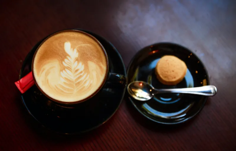 اولین عامل تاثیرگذار در طعم و عطر قهوه: شرایط رشد دانه‌های قهوه