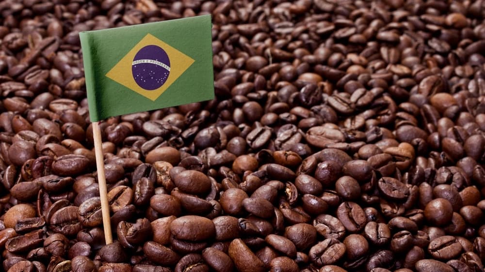 قهوه بوربون برزیل