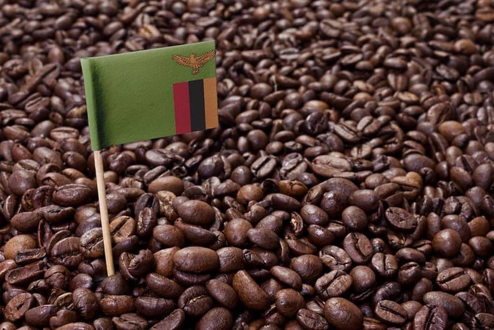 تاریخچه قهوه زامبیایی